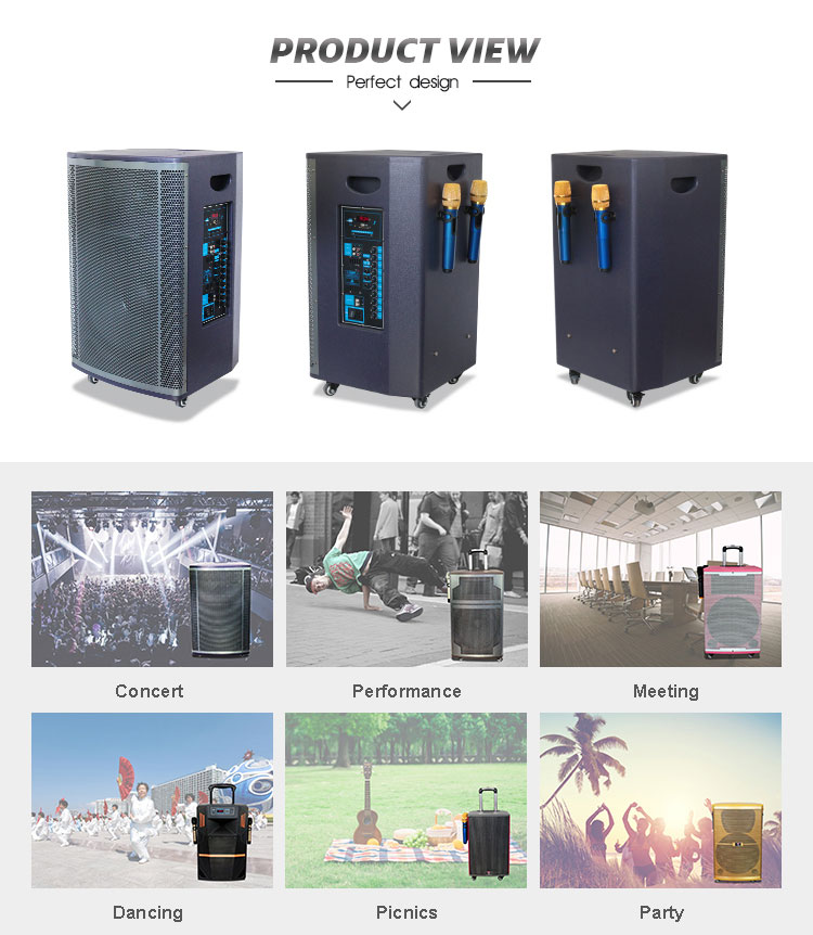 Bose Radio al aire libre