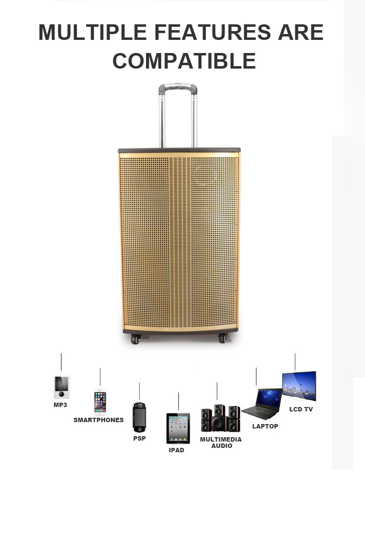 Altavoz al aire libre para TV