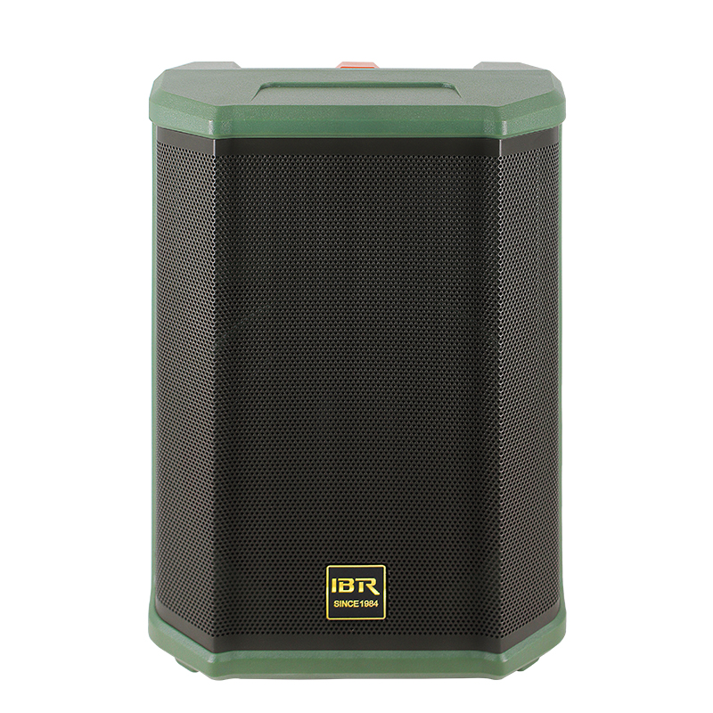 Dual 8 Inch Green Portable Speaker Guitar AMP Speaker for Instrument Live Speaker