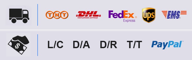 C&aacute;scara de tortuga de tecnolog&iacute;a al aire libre 3.0