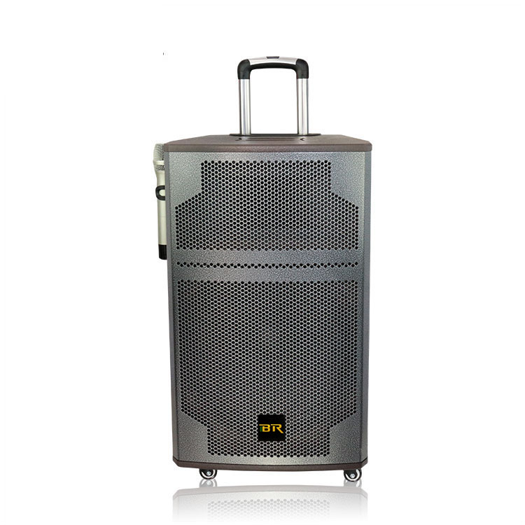 Portable 15 Inch Outdoor Speaker for Home Trolley Dj Party Speaker