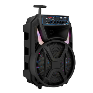 Popular Factory Cheap Price 12 Inch Party Karaoke Trolley Speaker 100w