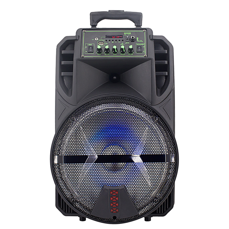 2020 Outdoor Cheap Hot Sale 100w Plastic Speaker with Trolley Led Light