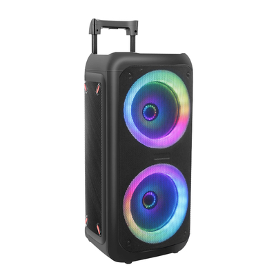 2022 Hot Sale Dual 8 Plastic Party Speaker with LED Disco Light Trolley