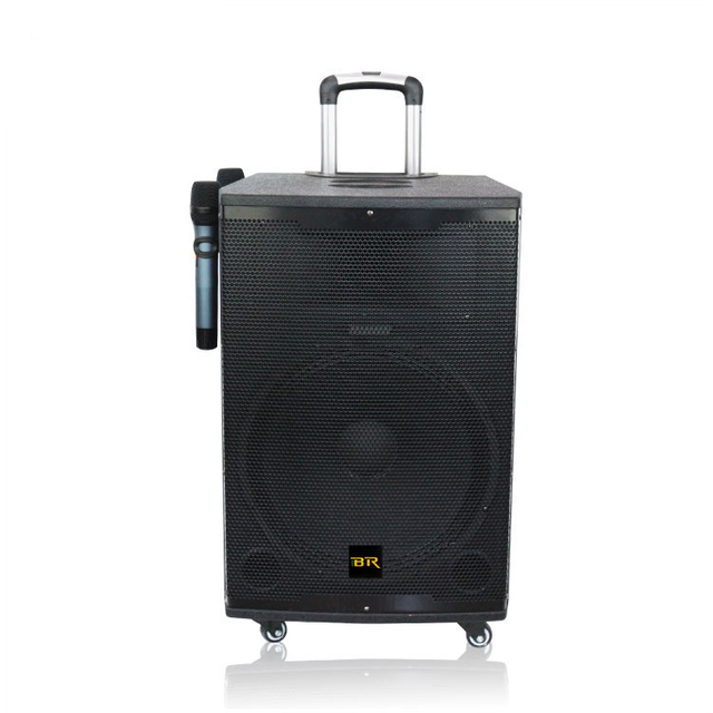 Trolley Subwoofer Speaker with Speakers Home Theater 15 Inch Portable Speaker