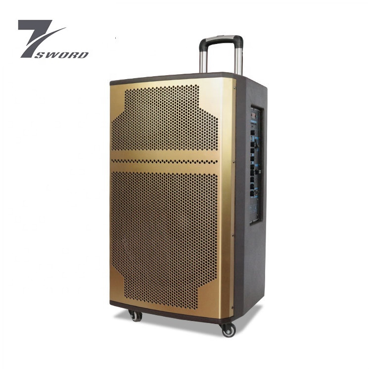 100w high end outdoor wood speaker cabinets battery trolley speaker