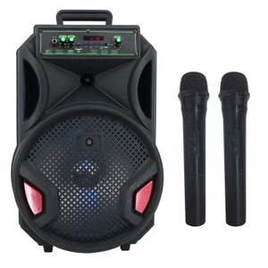  Speaker 12 Inch Portable Audio Player Wireless PORTABLE Trolley Speaker 12 Inch