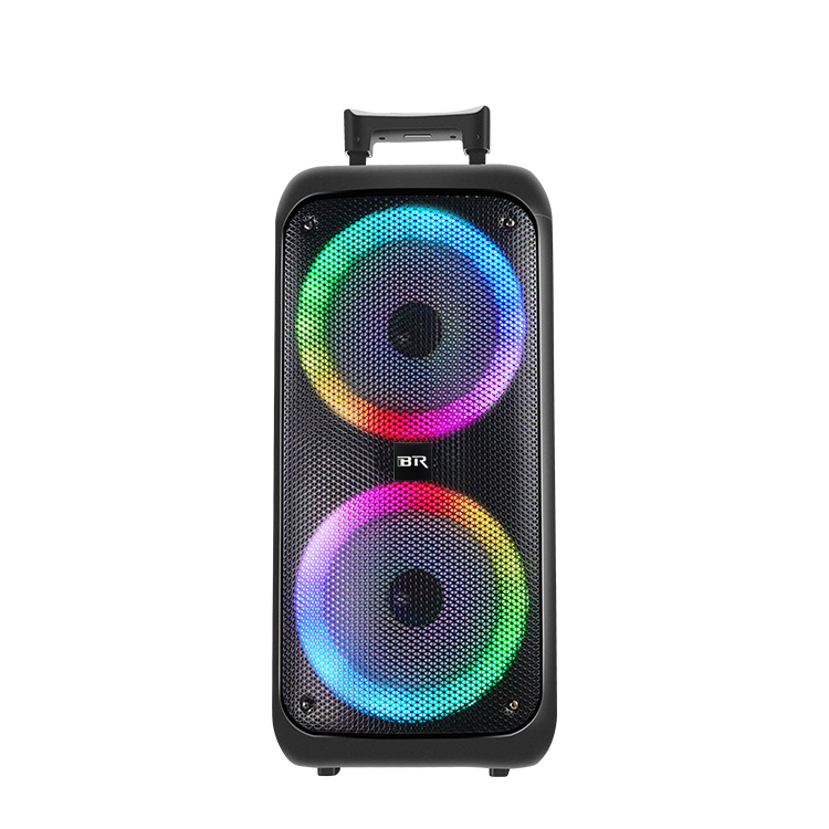 2021 Hot Sale Dual 8 Plastic Speaker with LED Light Trolley
