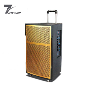 15 Inch Amplifier Audio Portable Trolley Magnetic Bass Speaker