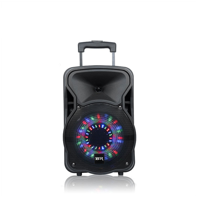 15 Inch Portable Bass Outdoor Rechargeable Subwoodfer with blue tooth Trolley Speaker