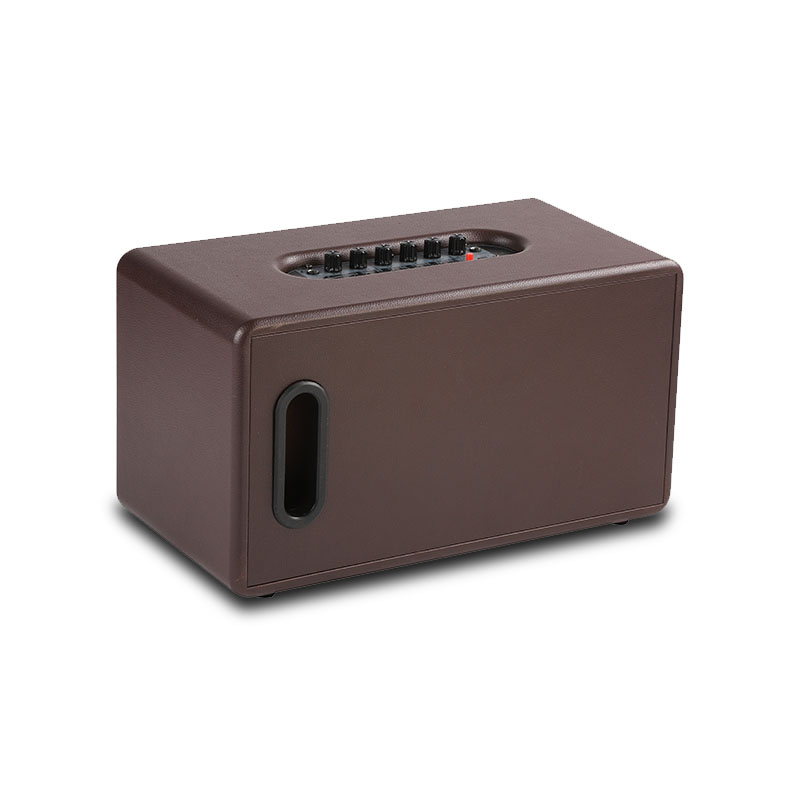 Bluetooth Live Speaker Dual Portable Speaker for Indoor Party