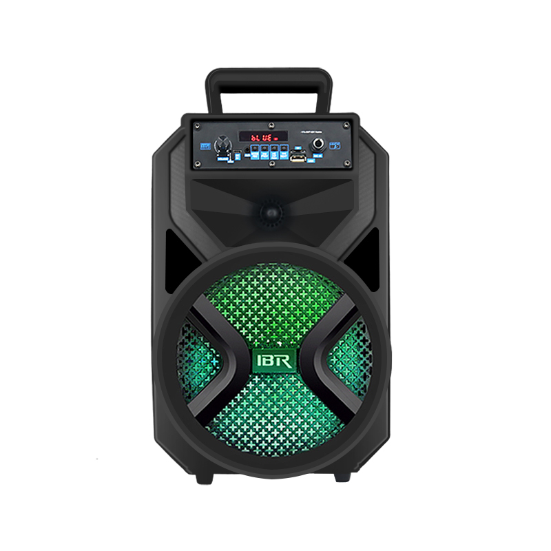 Small size portable 8 inch 30w led light plastic music speaker with trolley