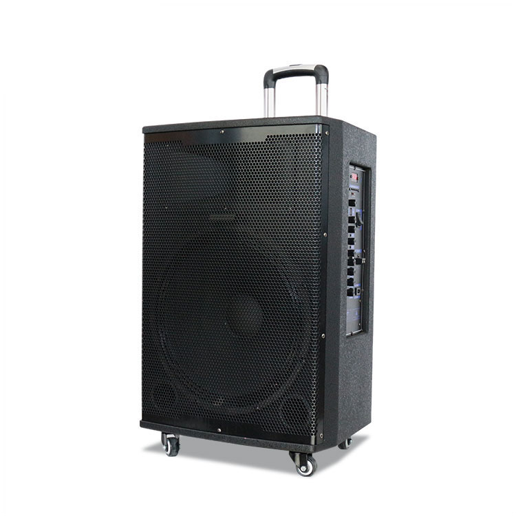 Trolley Subwoofer Speaker with Speakers Home Theater 15 Inch Portable Speaker