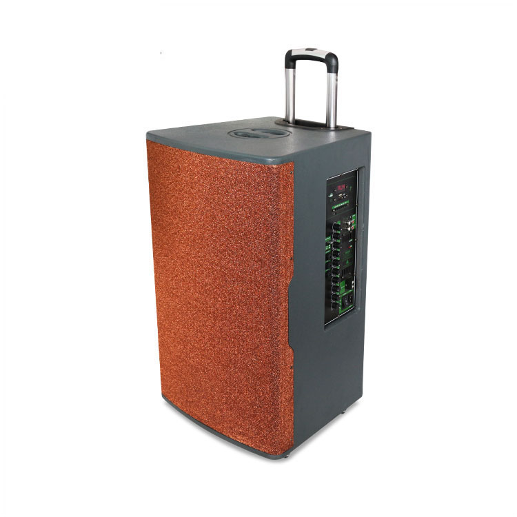 New Coffee Color 15 Inch 200W Wood Trolley Speaker for Square And Party