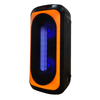 2022 TWS Dual 8 Inch Wireless BT Karaoke Portable PA PRO Rechargeable Speaker with Fashionable Disco LED Light