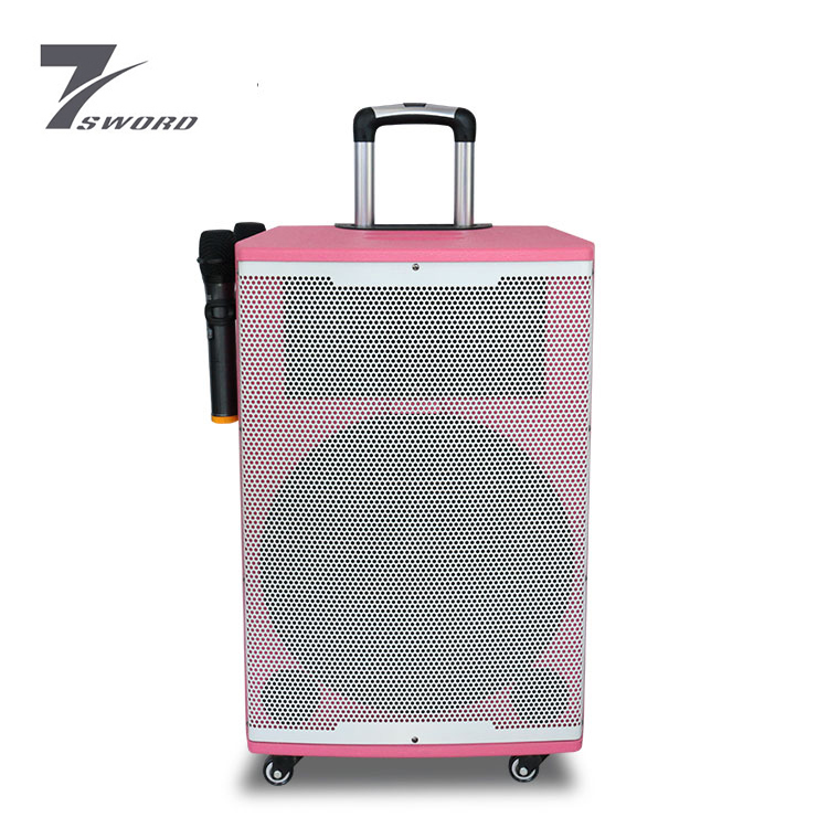 Rechargeable Wireless Bluetooths P Audio 15 Inch Speakers Price