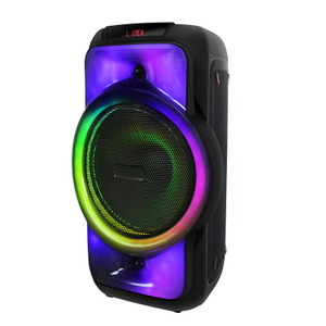 Unique design colorful led light dual 8 inch bluetooth portable karaoke speaker box