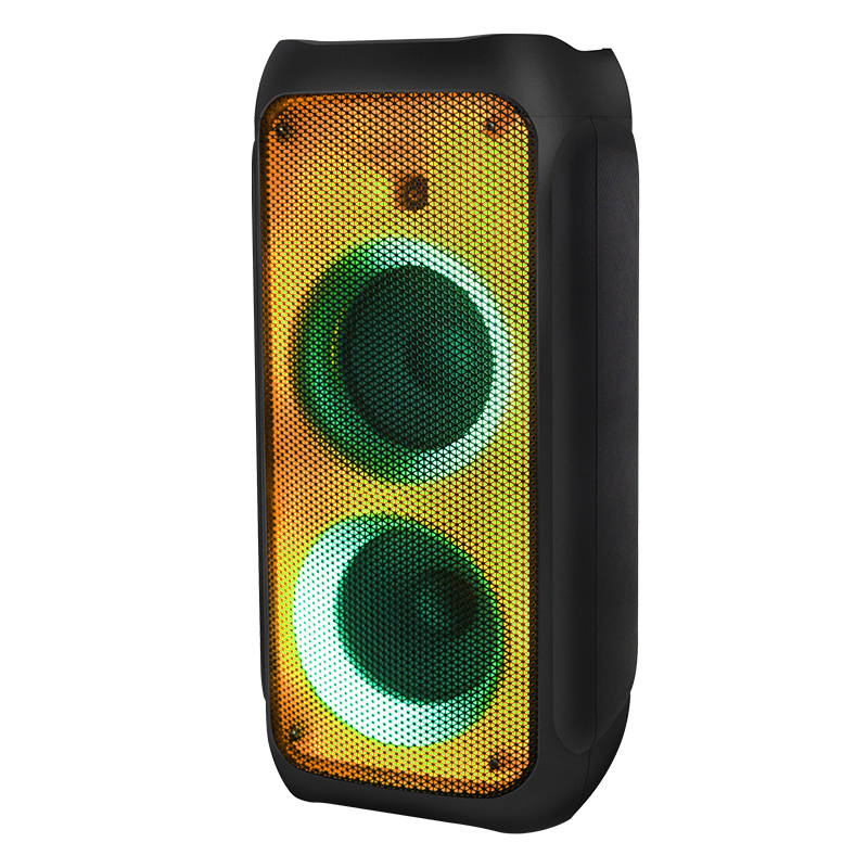 New Dual 8 Inch Portable Outdoor Party Plastic Speaker with LED Light