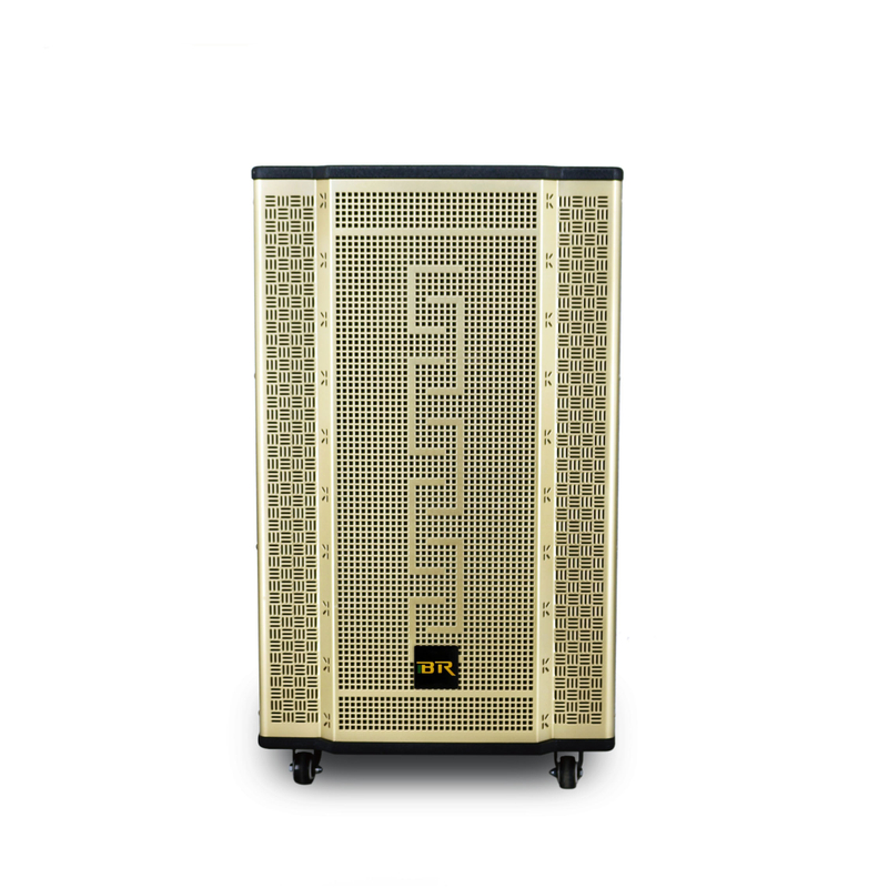 15 Inch Gold Wooden Large Trolley Speaker with Bluetooth