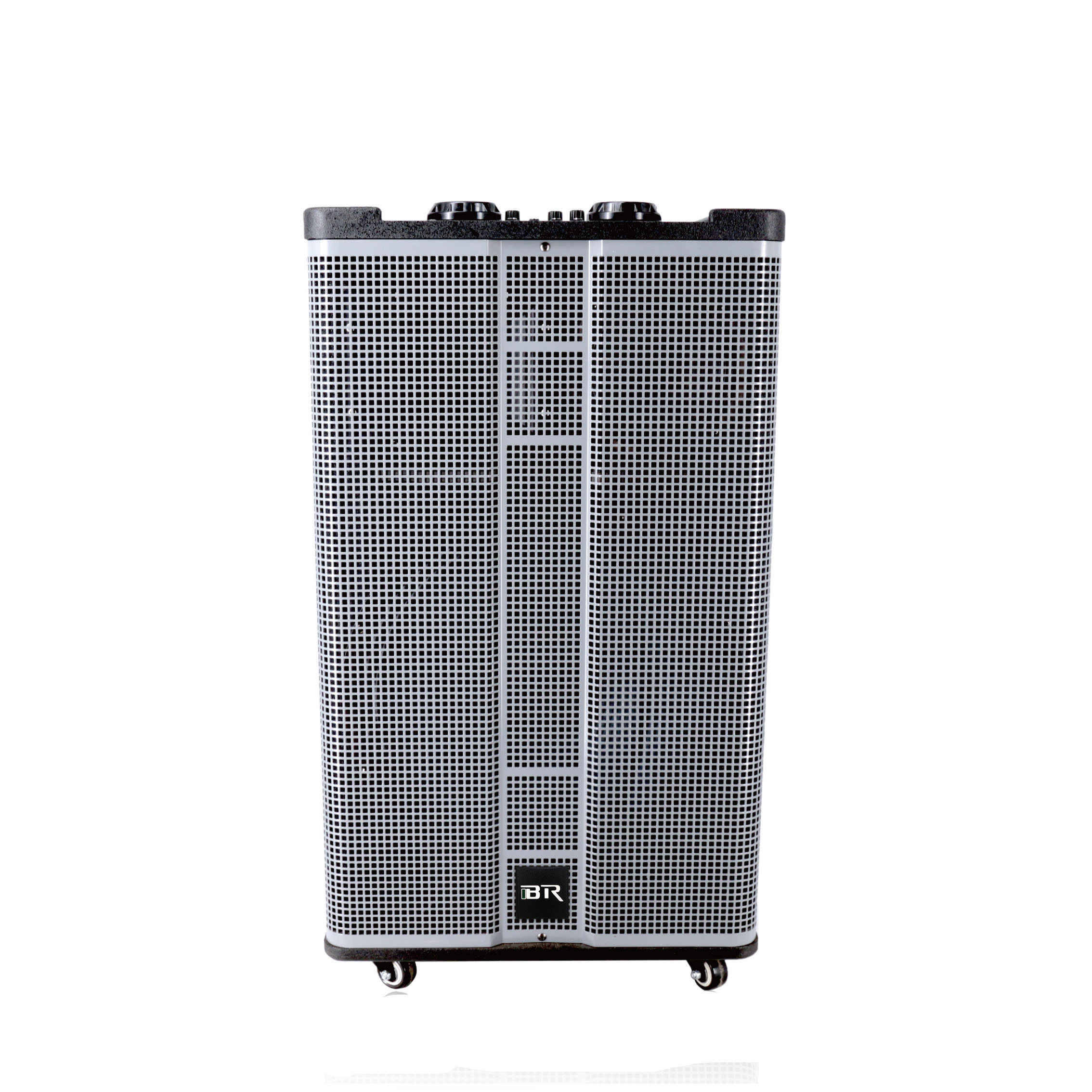 Altavoz al aire libre de Costco