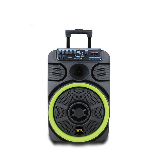 2020 New Distinctive Portable Speaker Plastic 12 Inch with Bt Function