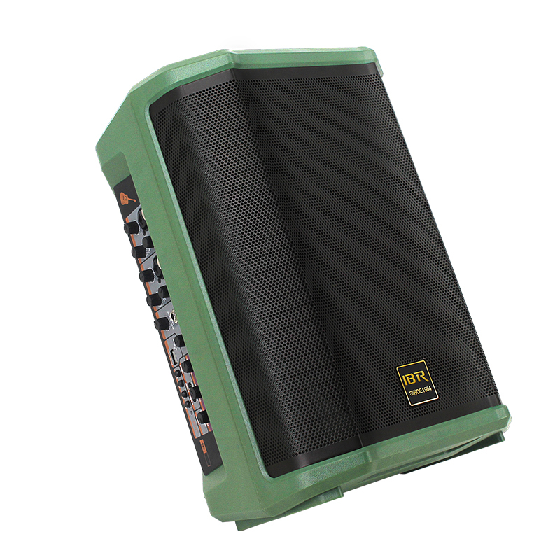 Dual 8 Inch Green Portable Speaker Guitar AMP Speaker for Instrument Live Speaker