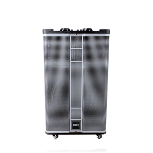 Gray Karaoke DJ Bass Portable Bt Wireless Trolly Speaker