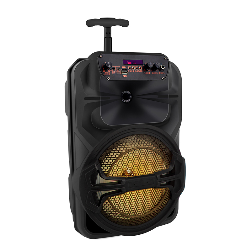 IBR brands outdoor bluetooth karaoke 8 inch trolley music speaker box with lights