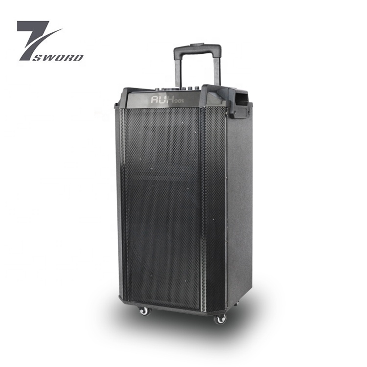 12 Inch Portable Stereo Trolley Super Bass Audio Speaker