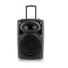 Good Sound System 10 Inch Audio Trolley Bt Speaker Sound Box