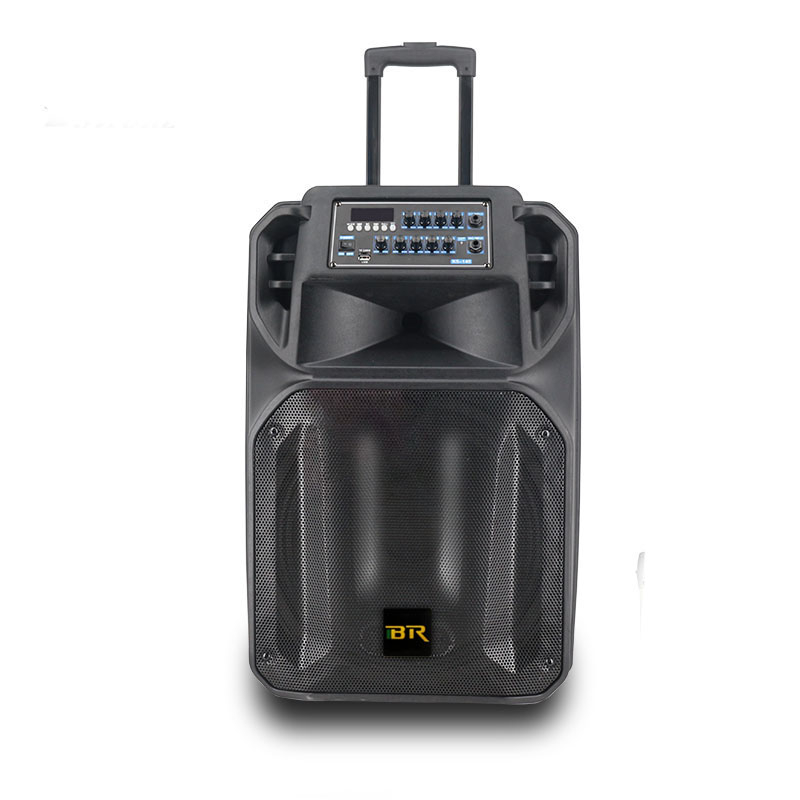 15 Inch Professional Audio Wireless Woofer Speakers Bt Bass Subwoofer