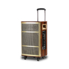 Active Power Guitar And USB Wood Portable Speaker Sound System
