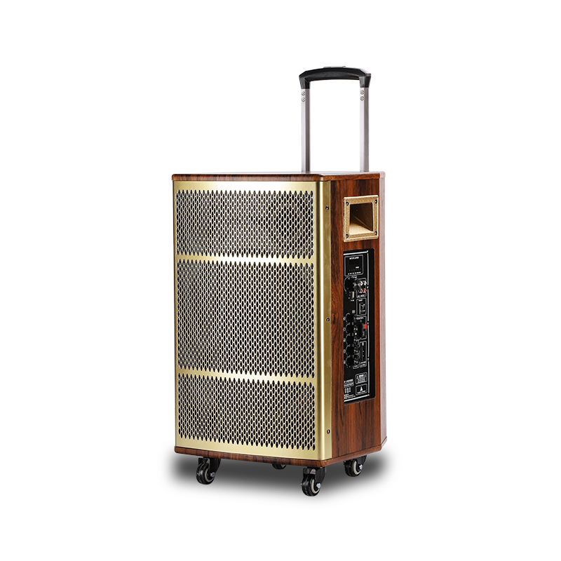 Active Power Guitar And USB Wood Portable Speaker Sound System