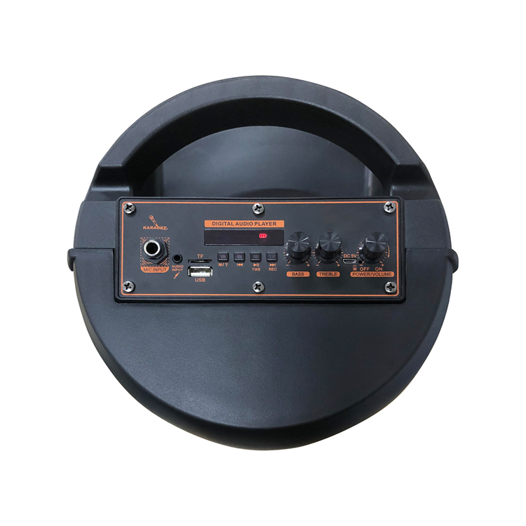 Colorful Led Light Dual 8 Inch Portables Party Speaker QJ-K80